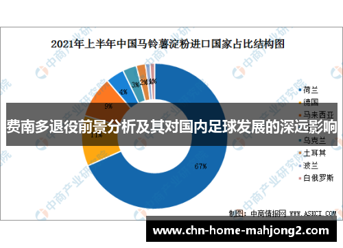 费南多退役前景分析及其对国内足球发展的深远影响