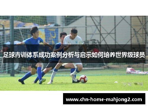 足球青训体系成功案例分析与启示如何培养世界级球员 足球青训体系成功案例分析与启示如何培养世界级球员
