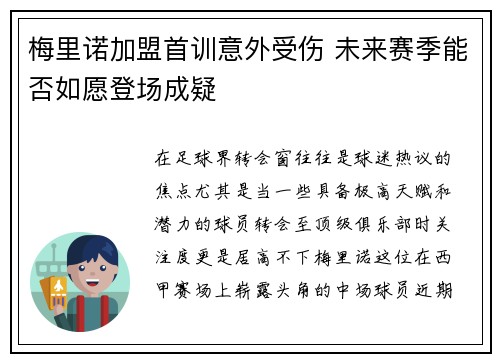 梅里诺加盟首训意外受伤 未来赛季能否如愿登场成疑